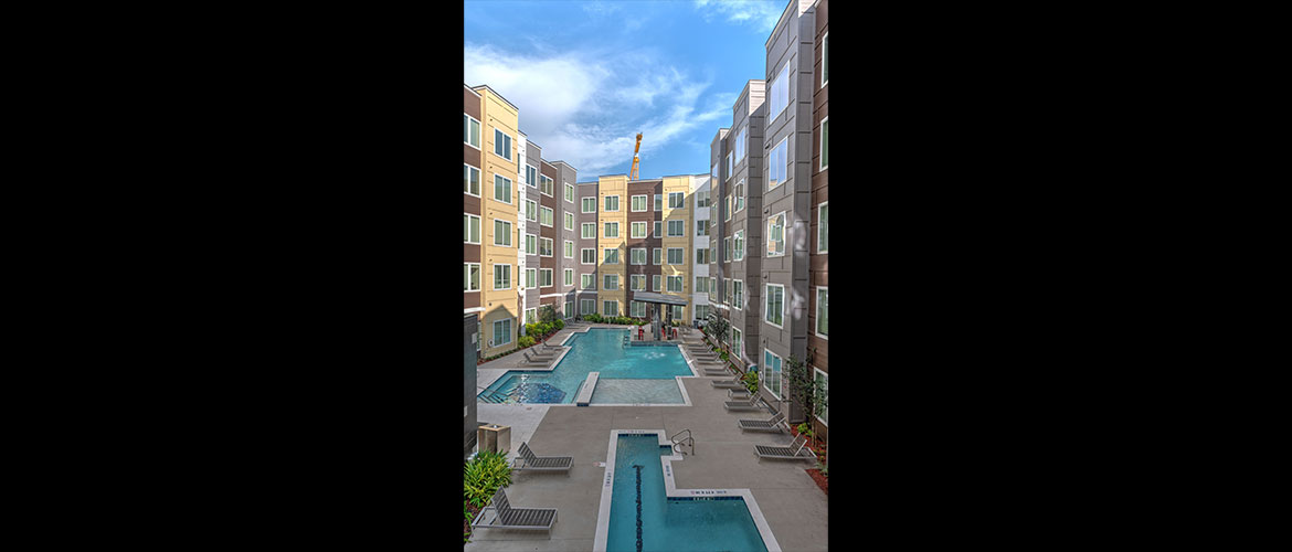 The Lofts • The Icon