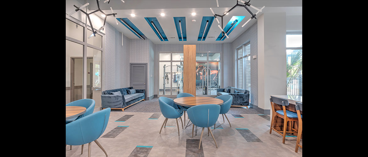 The Lofts • The Icon